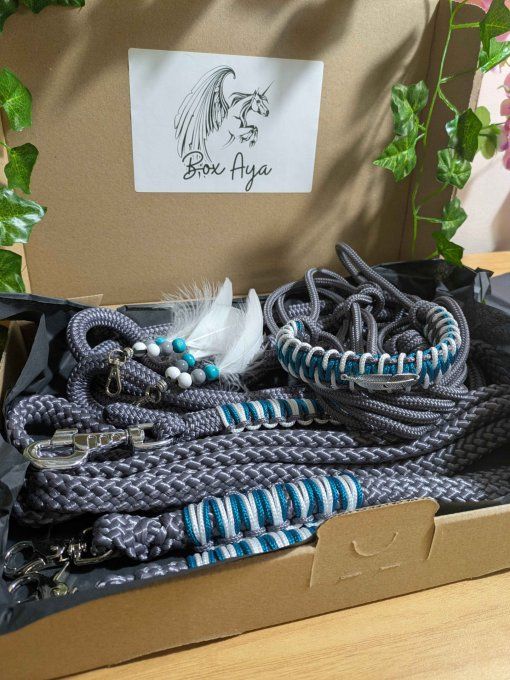 Box "Aya" gris taille cob