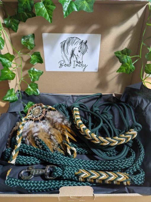 Ensemble "Indy" vert sapin taille cob