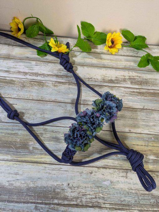 Licol "Fleury" bleu marine taille shetland