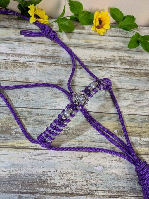 Licol violet/argenté taille poney