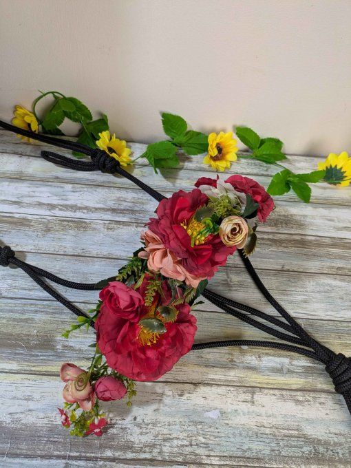 Licol "Fleury" noir et rouge taille cob