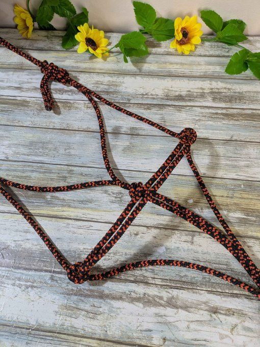 Licol simple orange/noir cheval
