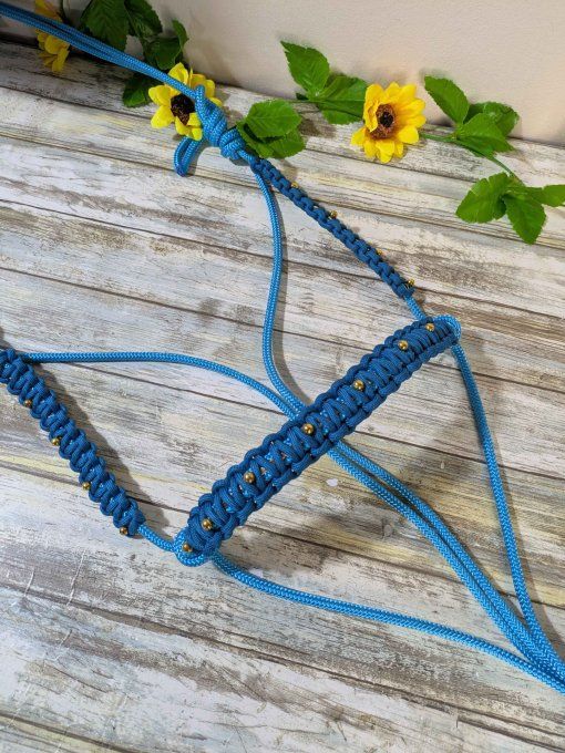 Licol "Eclipse" bleu océan taille cheval