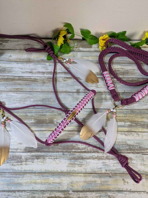 Box "Aya" prune taille cheval