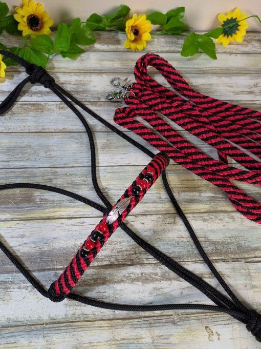 Ensemble noir et rouge taille cheval