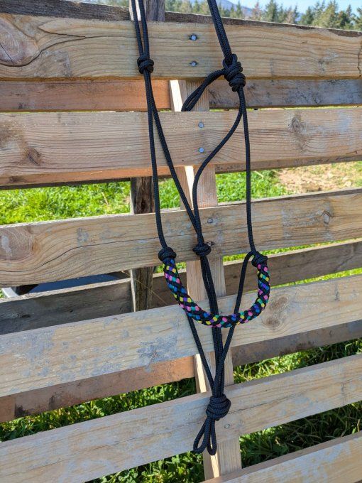 Licol noir avec muserolle confort "Disco" taille cheval