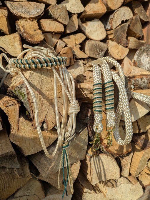 Ensemble shiny / vert sapin / doré taille cob