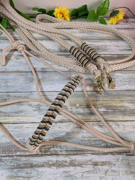 Ensemble shiny / vert sapin / doré taille cob