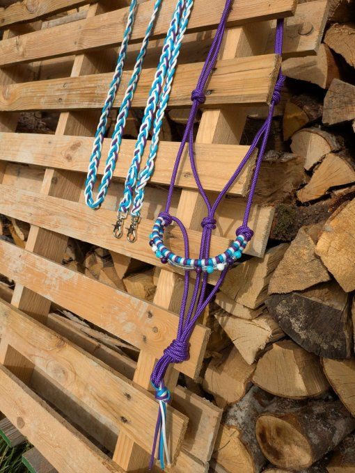 Ensemble "Tundra" violet / turquoise taille cob