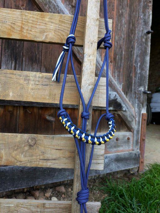 Licol Odyssée bleu marine taille cob