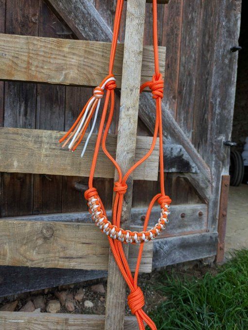 Licol Odyssée orange taille cob