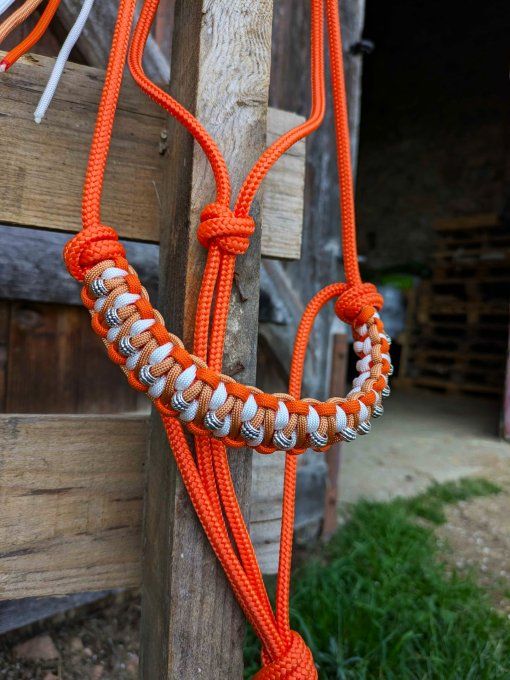 Licol Odyssée orange taille cob