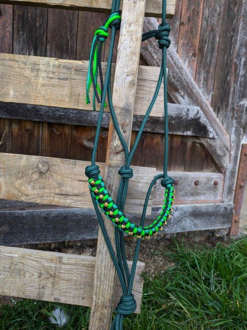 Licol Odyssée vert sapin taille cheval