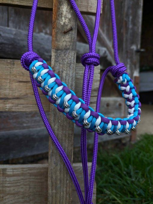 Licol Odyssée violet taille cheval