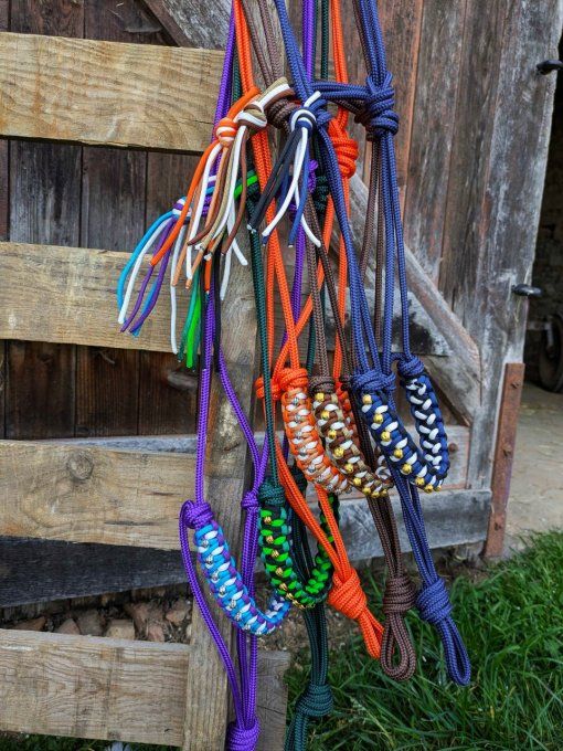 Licol Odyssée personnalisé