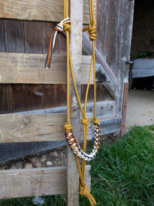 Licol Odyssée caramel taille cheval