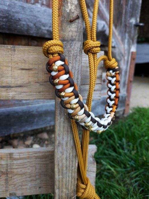 Licol Odyssée caramel taille cheval