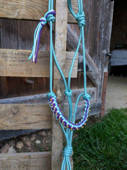 Licol Odyssée menthe taille cob