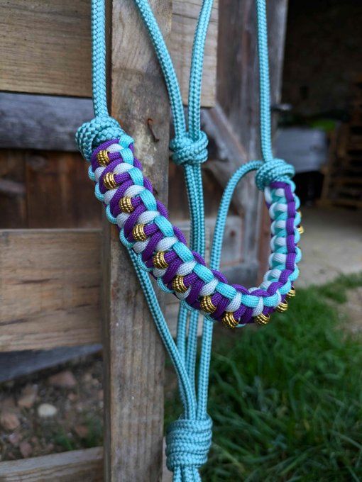 Licol Odyssée menthe taille cob