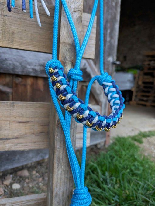 Licol Odyssée bleu océan taille cob