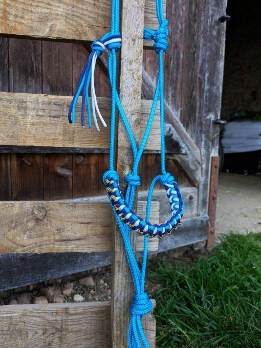 Licol Odyssée bleu océan taille cob