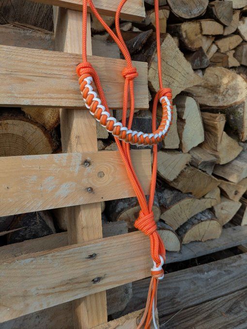 Licol Orange taille cheval