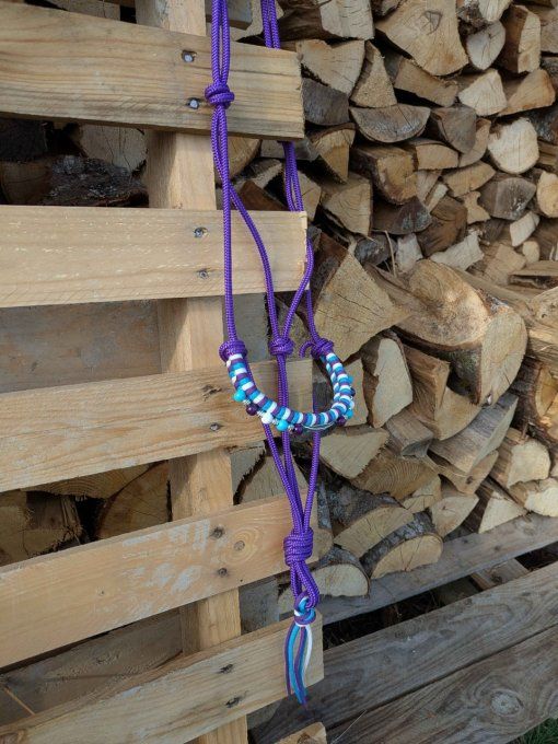Licol violet taille cob