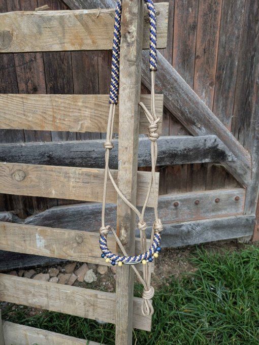 Licol beige / marine confort taille cob