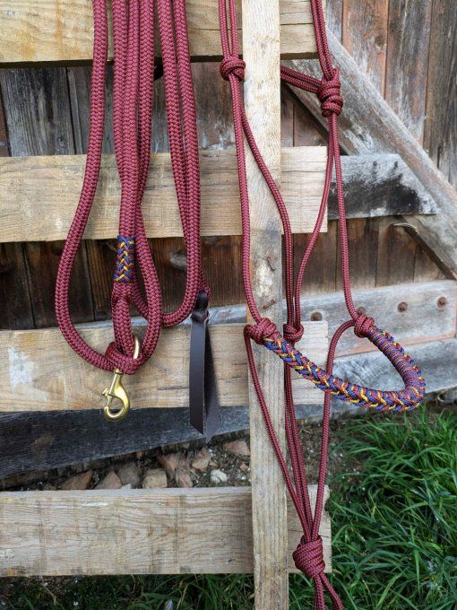 Ensemble bordeaux taille cheval