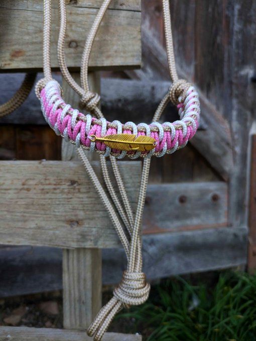 Licol Aya beige et rose taille cob