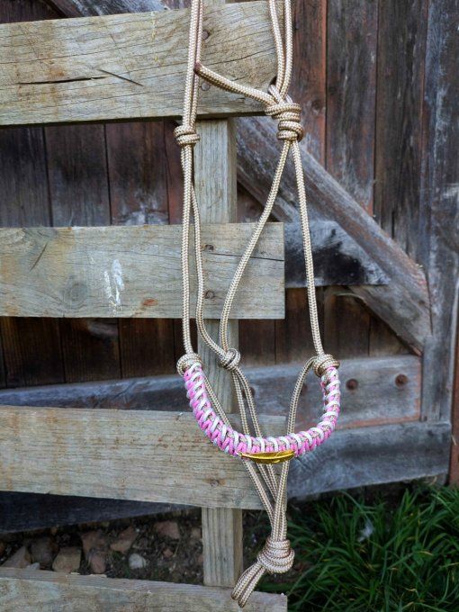 Licol Aya beige et rose taille cob