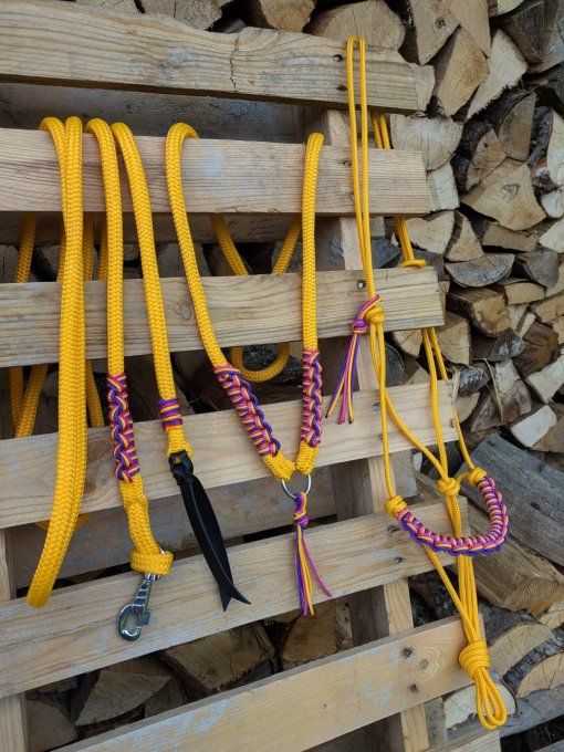 Ensemble miel taille cob