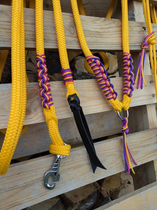 Ensemble miel taille cob