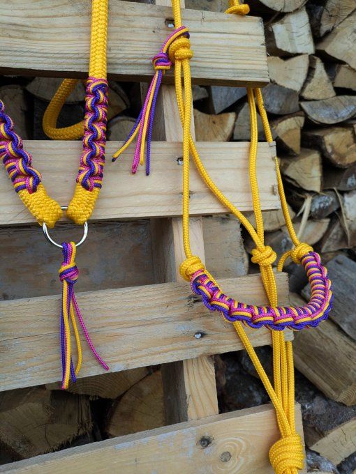 Ensemble miel taille cob