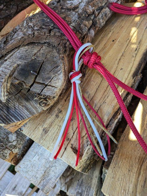 Licol Stella rouge taille cheval