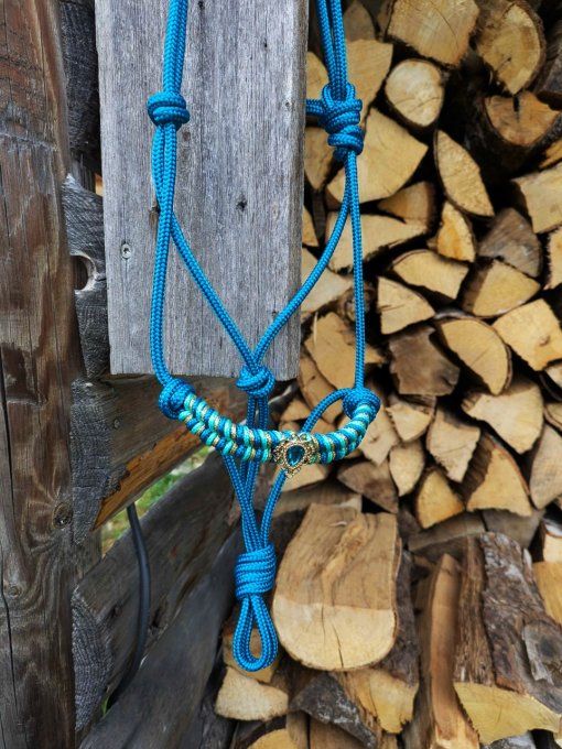 Licol bleu canard taille shetland