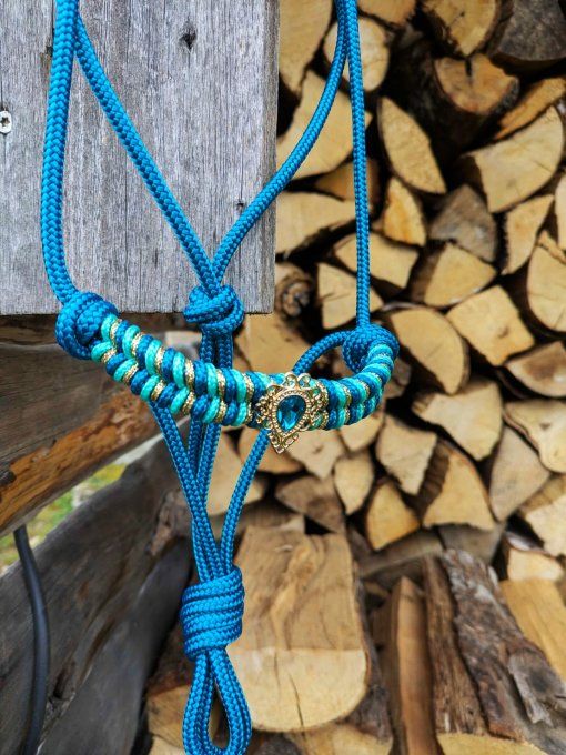 Licol bleu canard taille shetland