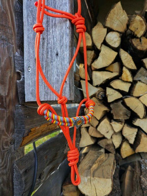 Licol orange taille shetland