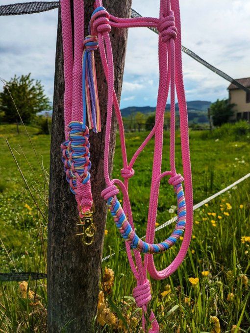 Ensemble rose clair taille cob