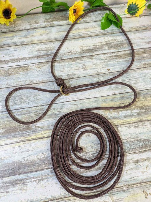 Licol de shooting photo brun/doré 4m