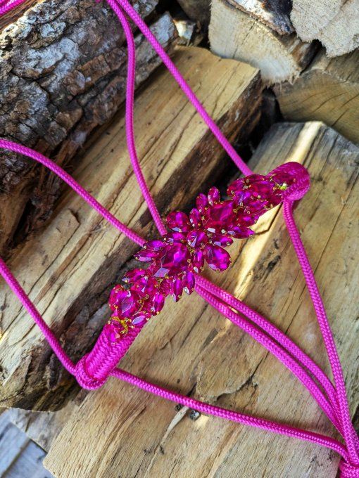 Licol "Nebula" personnalisé