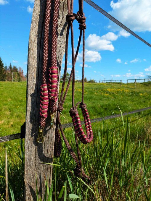 Ensemble brun taille cheval