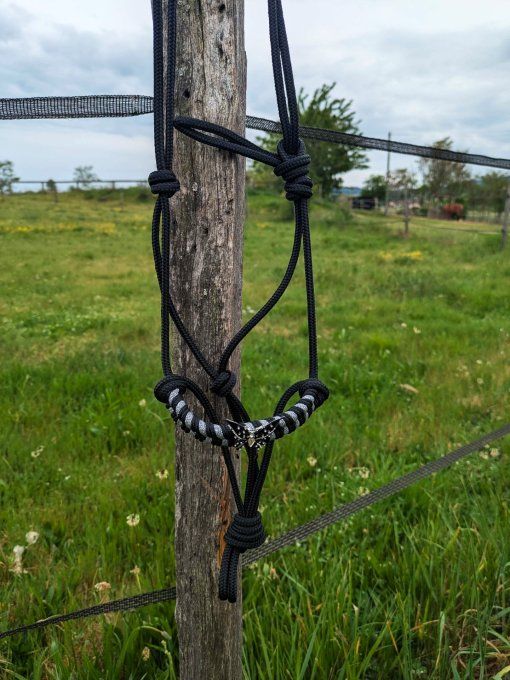 Licol Fly noir et argenté taille shetland