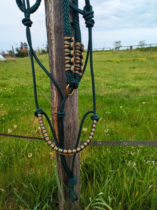 Ensemble vert sapin taille cheval