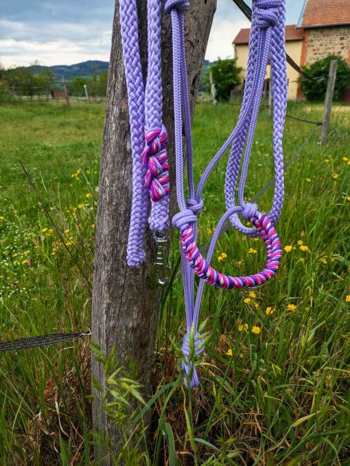 Ensemble lilas taille cob