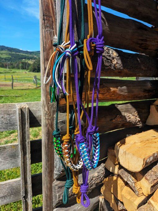 Lot de 3 licols Odyssée taille cheval