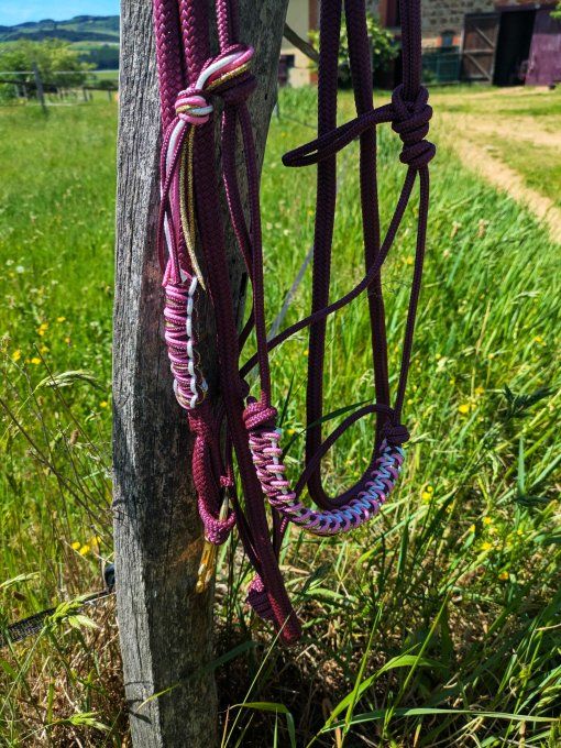 Ensemble prune taille cob