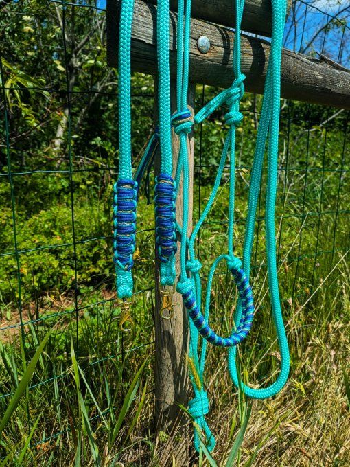 Ensemble menthe taille cheval