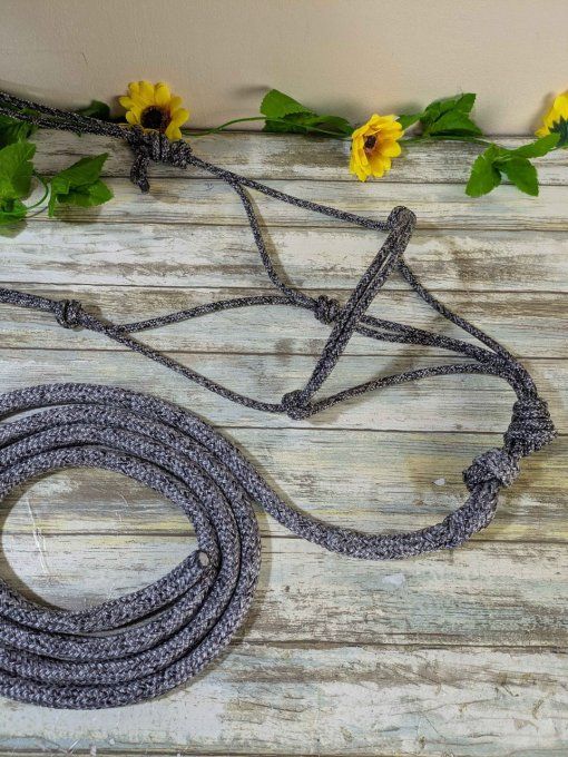 Ensemble gris chiné taille cob licol et longe 2m50