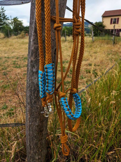 Ensemble caramel taille cob